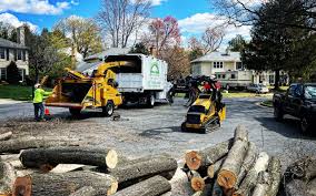 Best Lot and Land Clearing  in USA